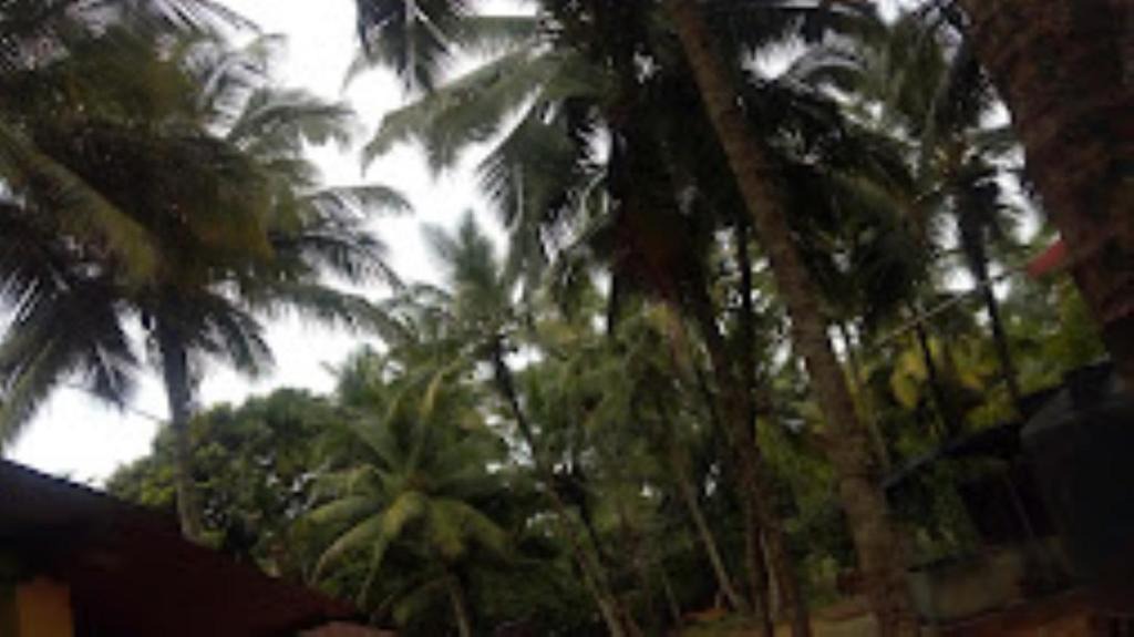 Devbag Hotel | Aaichchha Nyahari Niwas MALVAN
