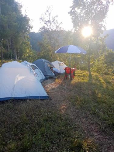 Turuk Other | Bethsaida Luxury 4 Tent