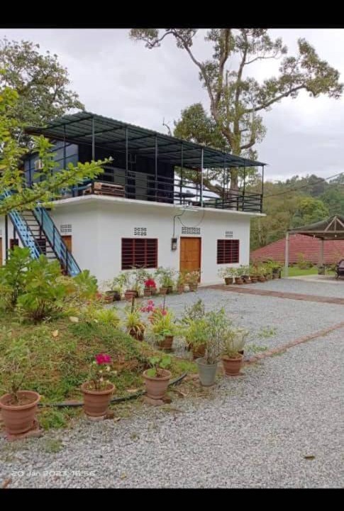 Janda Baik House | BougainHomestay Janda Baik