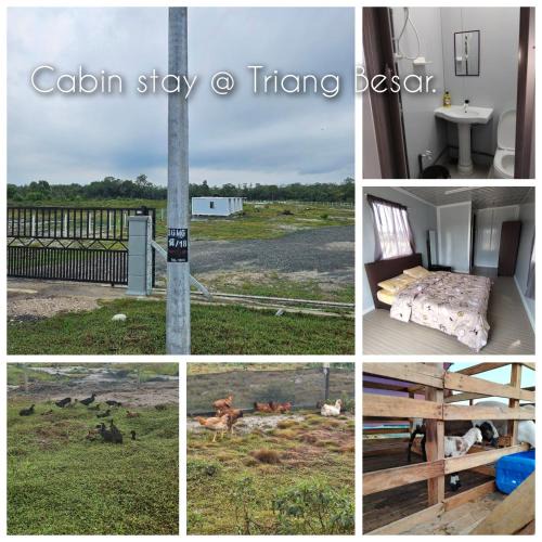 Tekek Ski Chalet | Cabin stay Triang Besar