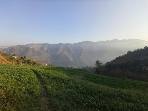 Bullawala Hotel | Corn Village Retreat