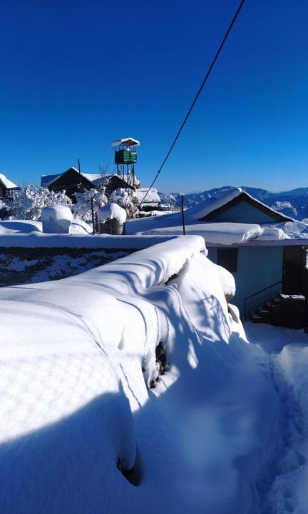 Shimla House | Deodar Homestay Dakbangla-kufri