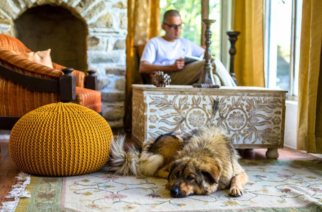Kaul Resort | Dervish Stays, Mukteshwar
