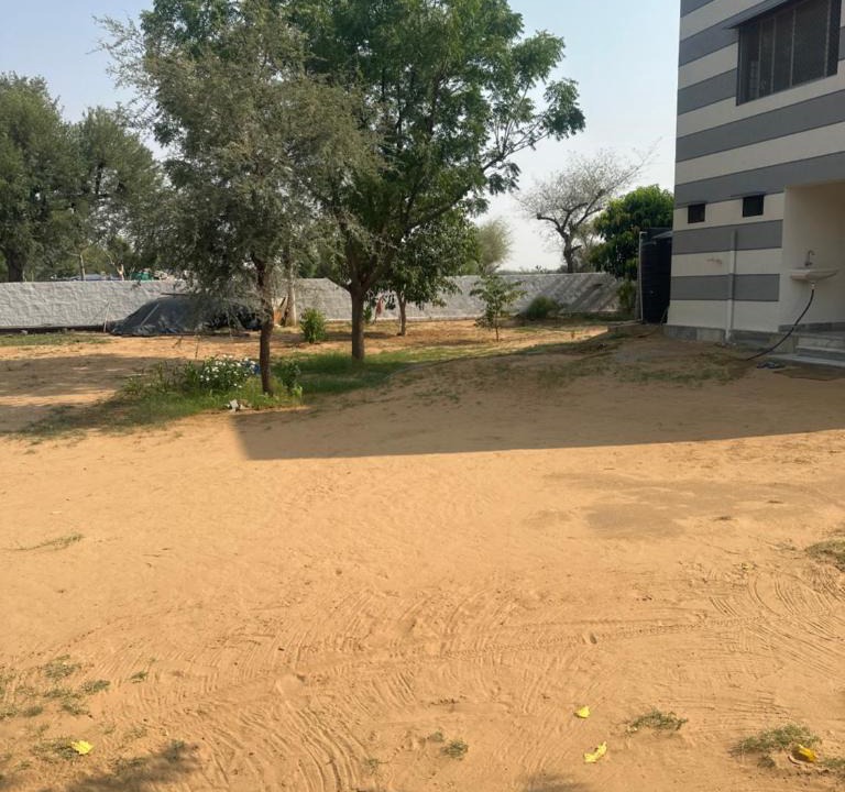 Didwana House | Dhankoli House