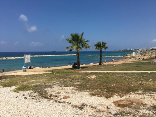 Paphos Apartment | Diamond Complex