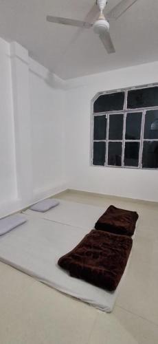 Jhusi Apartment | Diamond Home Stay