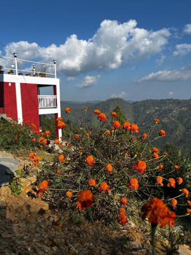 Kaul Hotel | EcoEscape