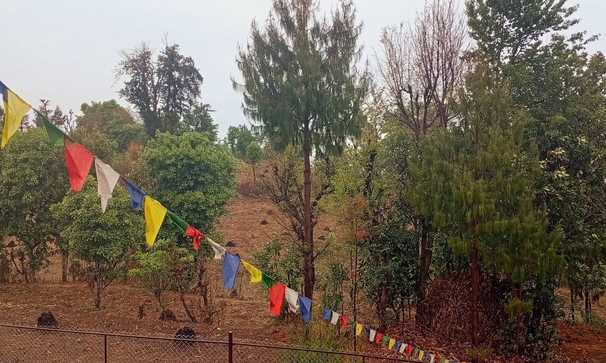 Kathmandu Valley RV Rental | Enjoyable campground retreat in Thapathali perfect for nature lovers