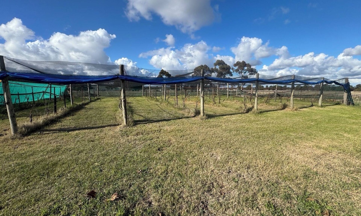 Diggers Rest House | Farm Stay, feed sheep and relax close to airport
