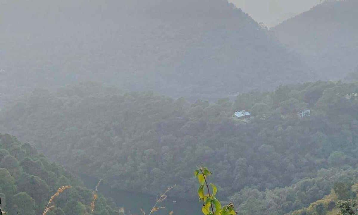 Bhimtal Hotel | Fredy's Bungalow