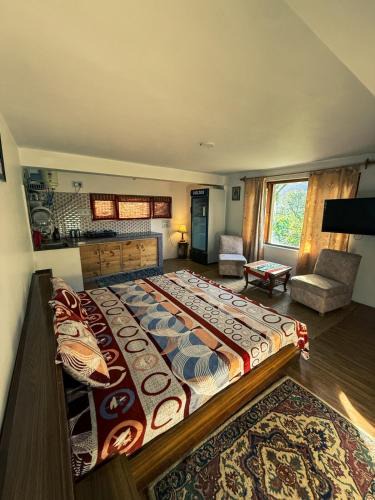 Mohal Apartment | Gound Floor Studio Appartment