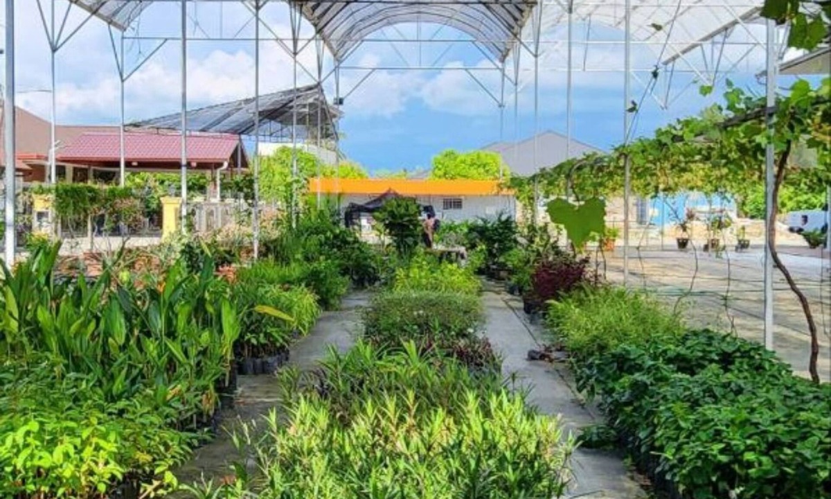 Penampang Hostel | Grapevine Garden