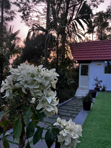 Kalakandur Villa | GreenSpun Nature stay