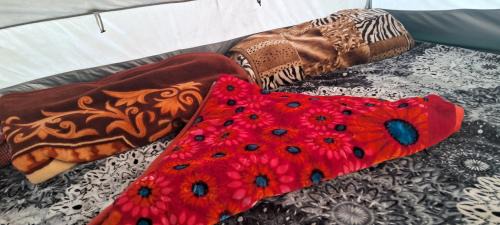Gulmarg Other | Gurez valley camping site
