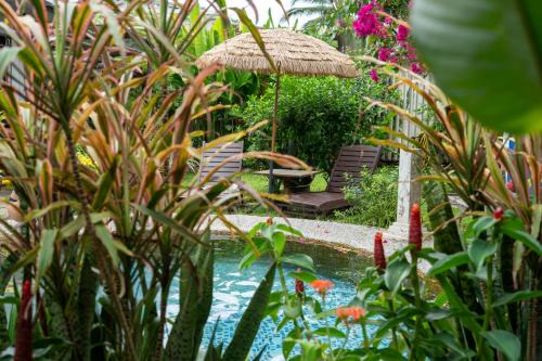 Lahad Datu Bed & Breakfast | HAKS Boutique B&B with Pool & Farm-to-Table Dining