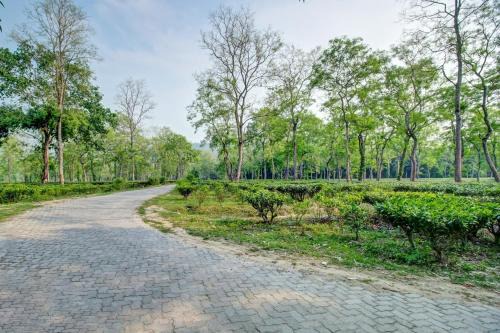 Hatikhuli Hotel | Hotel O Heritage Nest Resort Kazirnga