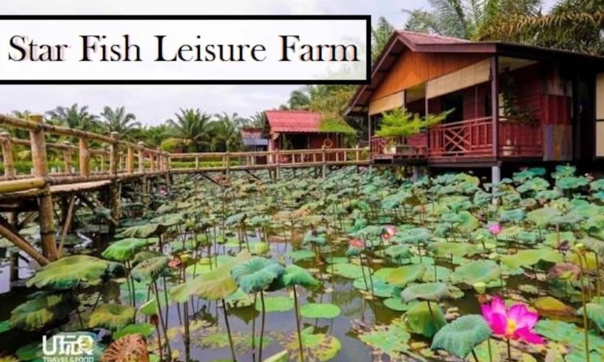 Daerah Kulai House | ioic