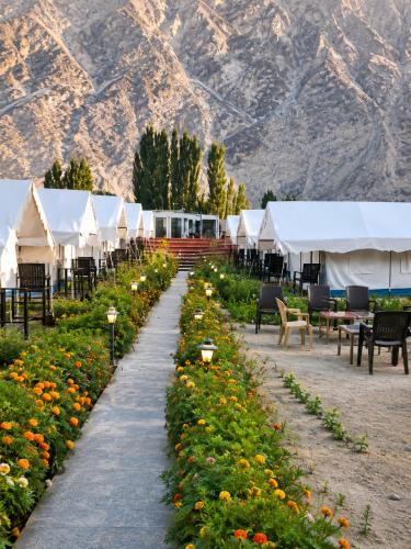 Leh House | ITW- Into The Wild Camps , Tyakshi , Leh
