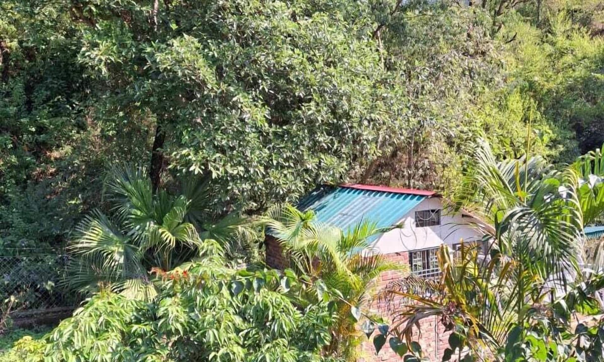 Sirala Hotel | Junegiri Farms & Homestay