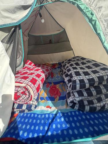 Kedarnath Other | Kedar cloud camp