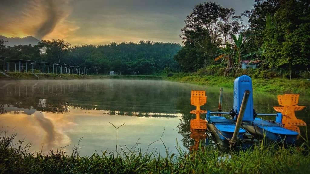 Kerling Villa | Kerlingfornia Pond View Homestay and Farmstead