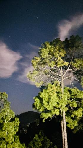 Kasauli Villa | King House Kasauli Hills