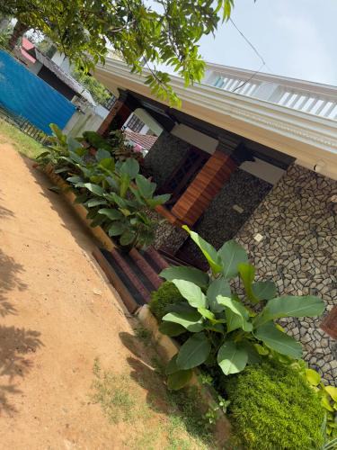 Chirayinkil Apartment | Lechalet villa