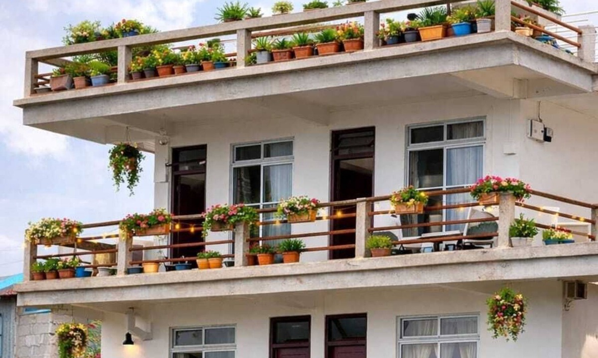 Lebong and Mineral Spring Tea Garden Hotel | LuxeHaven Homestay-a Peaceful Escape