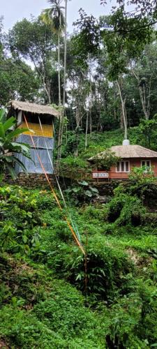 Devikolam House | Mamalakandam Tree house