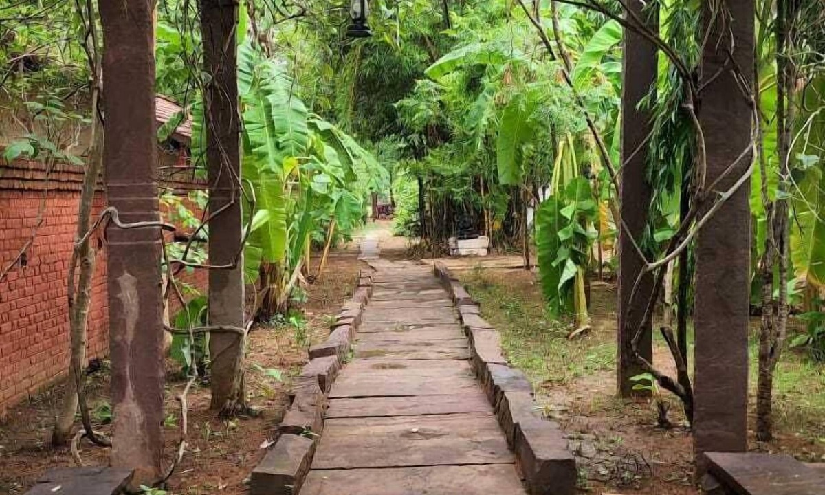 Tala Hotel | Monsoon Forest By Greetoe Resort