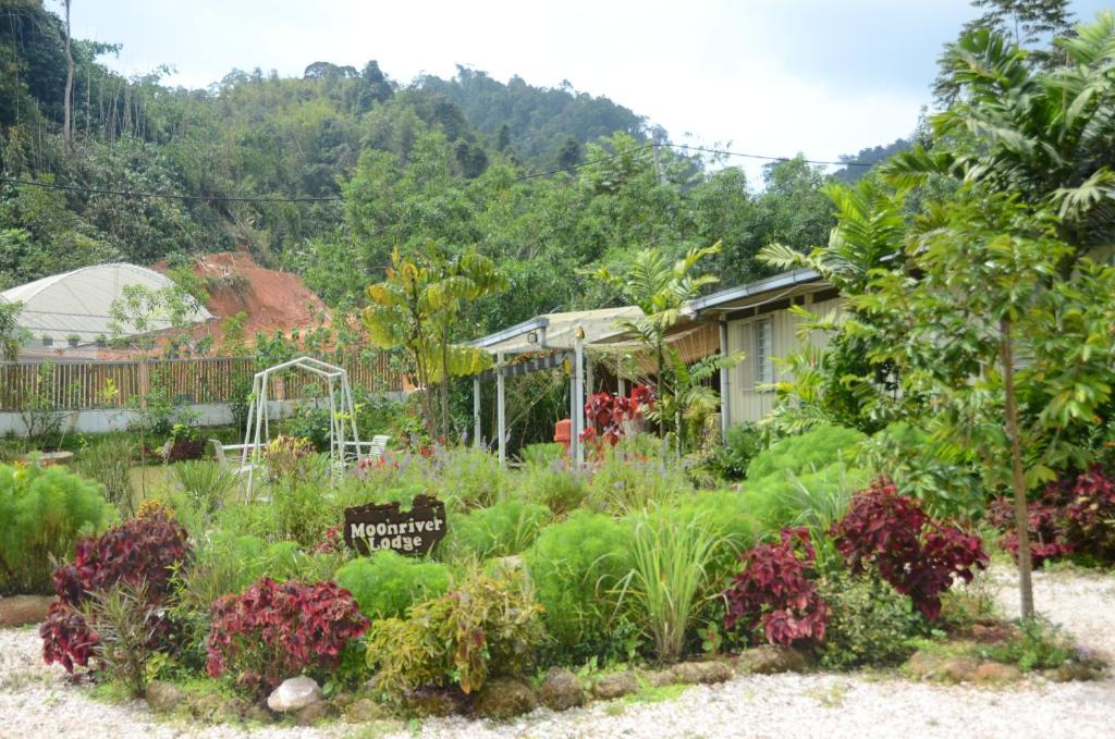 Lojing House | Moonriver Lodge