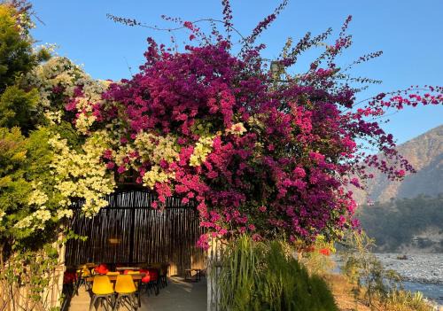 Sirala Hotel | Nayar Valley Retreat