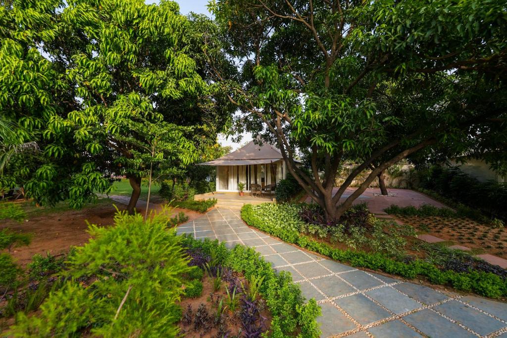 Taoru House | Orchard At Sarai - Luxury Tent Villas, Swimming Pool, Large lawns, & Pet friendly