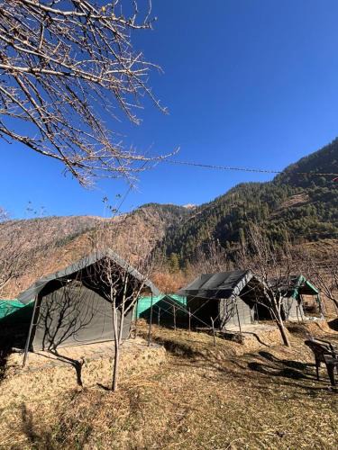 Kullu Other | Paradise Camping Apple Orchard