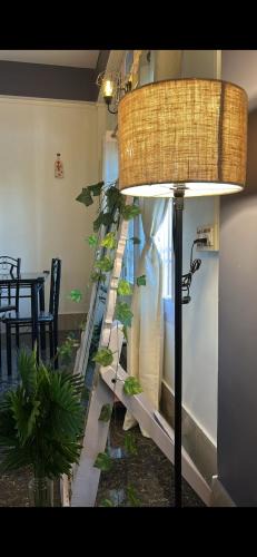 Balipara House | Pipitsnest 2 homes