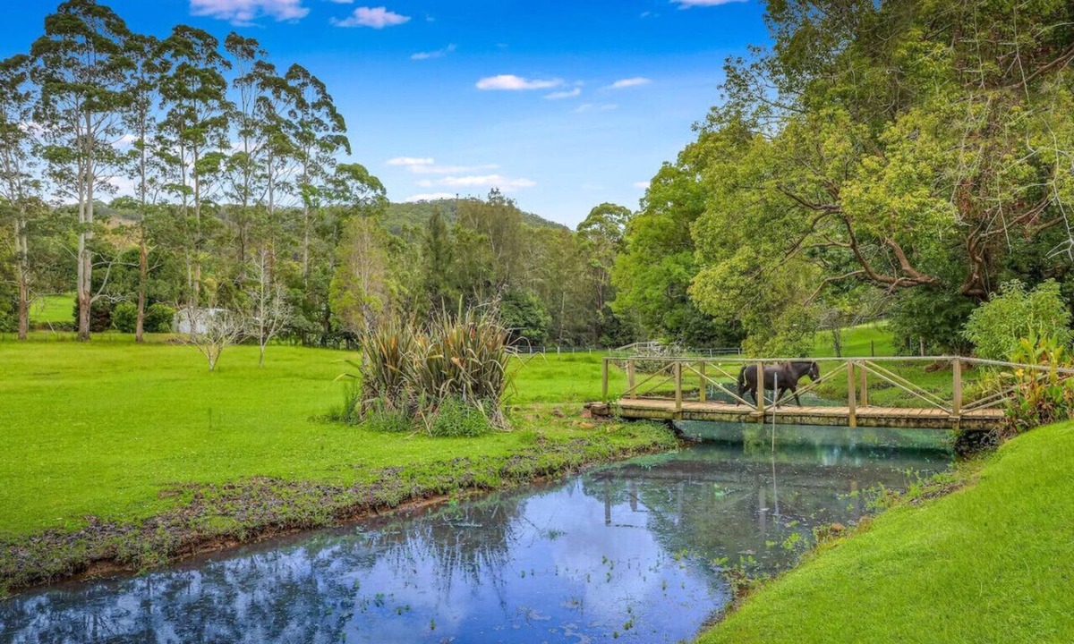 Picketts Valley Cabin | Ponies|Heated Pool|Acreage