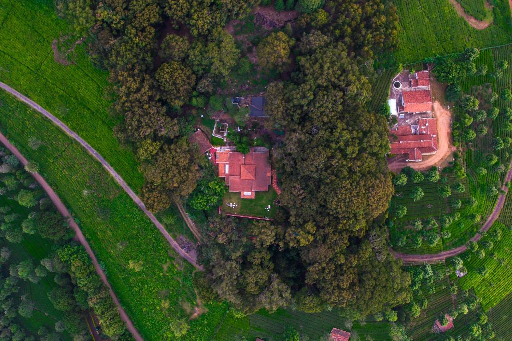 Kotagiri Bed & Breakfast | Rayne Forest