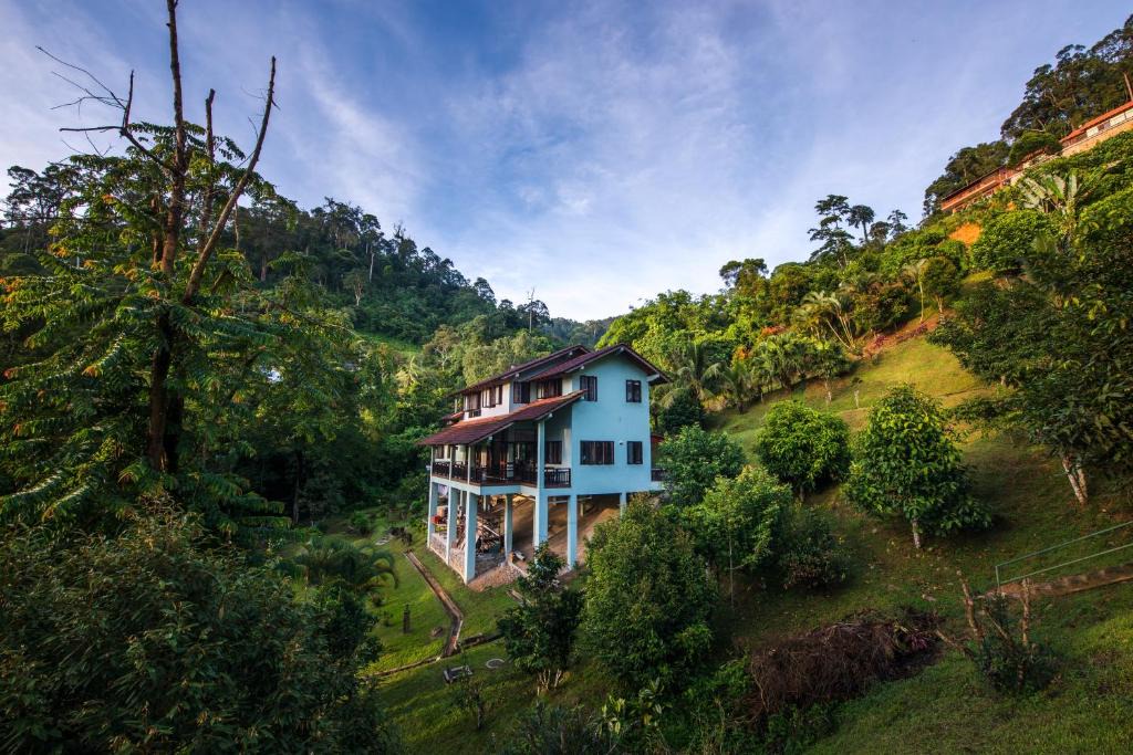Janda Baik Villa | Rest Pause Rainforest Retreat