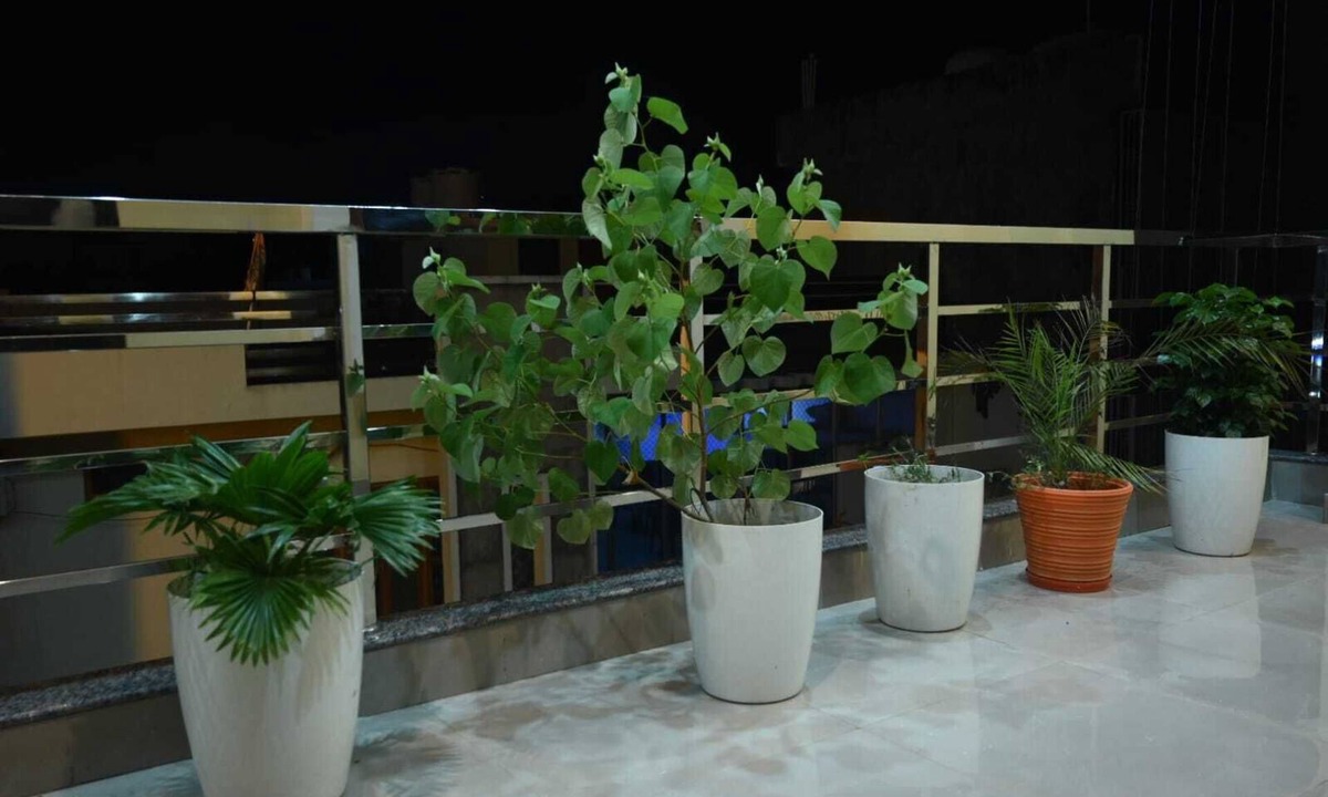 Ayodhya Hotel | Saraswati Luxurius Home Stay