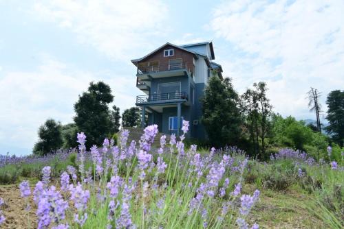 Bhaderwah Hotel | Seraahi Hills Resort