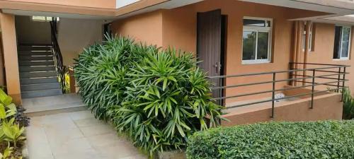 Bainguinim Apartment | Serene haven amidst nature