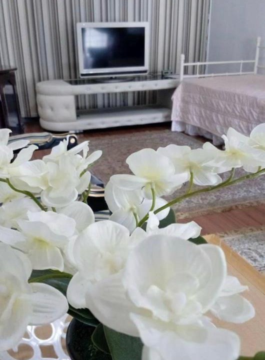 Taman Merdeka House | Singgah Keluarga Homestay Taman Merdeka Melaka for Islam sahaja