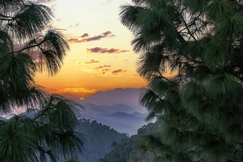 Kumarhatti Hotel | Snowfall View Home Kasauli Operated by Splendid Hotels