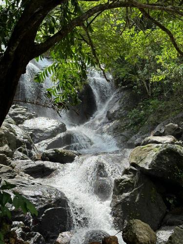 Elappara Cabin | Sunset Valley Kerala Pool Resort - Monsoon Forest Cottage Stay in Idukki with Private Waterfalls, Natural Streams & Breathtaking Views