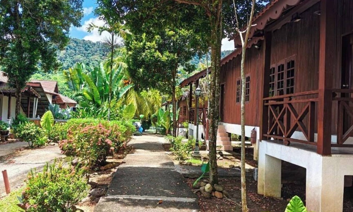 Kuala Tahan Hotel | Tekoma Resort Taman Negara
