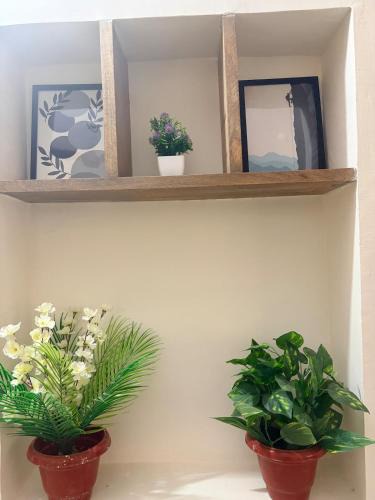 Lalkothi Apartment | The Blunt House