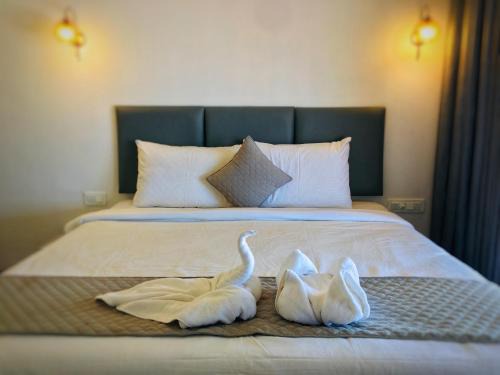 Agonda Hotel | The Coastal Agonda