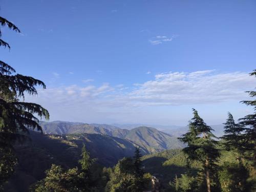 Chail House | The peace holiday home stay