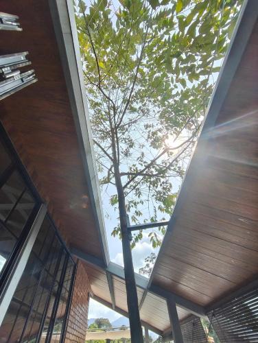 Janda Baik Villa | The Silver House Private Villa