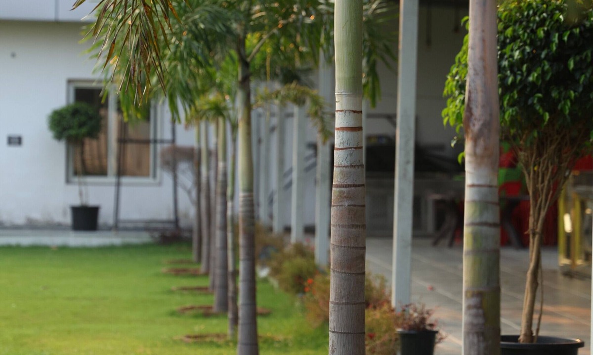 Bharatpur Resort | The Sunflower Resort